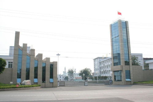 廣東西南建設(shè)工程集團 引領(lǐng)區(qū)域發(fā)展的建筑先鋒