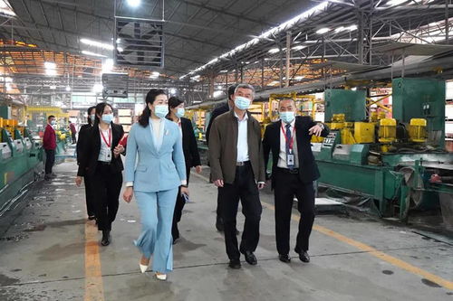 中國建筑衛(wèi)生陶瓷協(xié)會會長繆斌一行蒞臨方向企業(yè)參觀交流